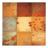 Poppy Nine Patch Plakater af Don Li-Leger Poppy Nine Patch Plakater af Don Li-Leger
