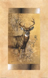 Cerf à queue blanche Posters par Judy Gibson