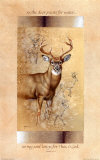 White-Tailed Deer, Art Print