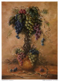 Vineyard Blessings IV Prints by Lisa White