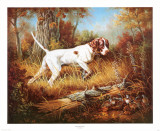 Pointer with Quail Posters by Judy Gibson