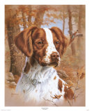 Brittany Portrait Prints by Judy Gibson
