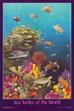 Sea Turtles of the World Kunstdrucke