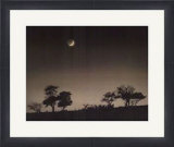 Waxing Moon Posters by Paul Kozal