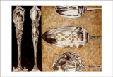 Silver Palate II Prints by Elaine Gitalis