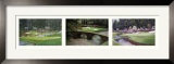 Augusta Challenge Prints by Jim Harrington