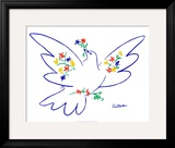 Dove of Peace  Blue Poster by Pablo Picasso