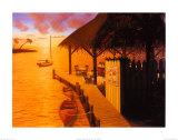 Palm Cove Prints by David Marrocco Palm Cove Prints by David Marrocco