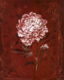 Asian Peony II Prints by Su Yue Lee