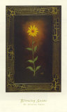 Fleur de Suzanne Affiches par Jessica Fries