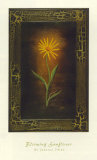 Blooming Sunflower Art by Jessica Fries