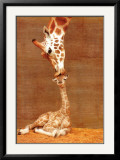 The First Kiss Photo