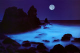Kust van Californië Poster van William Hartshorn Kust van Californië Poster van William Hartshorn