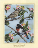 Beauty of Nature I Posters by Darryl Vlasak