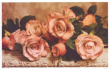 Rosa grisáceo Láminas por Julie Greenwood