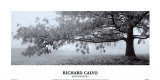 Autumn Oak Posters by Richard Calvo