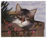 Rocky Selland Plakat af Lowell Herrero Rocky Selland Plakat af Lowell Herrero