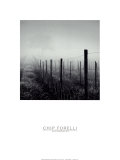 Velours pourpre Affiches par Chip Forelli