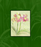 Eastern Florals III Art by Cheri Blum