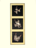 Delicates II Poster by Connie Troutman