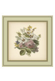 Tuscany Bouquet XII Prints Tuscany Bouquet XII Prints