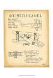 Sopwith Camel Poster von Tara Friel