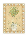Tuscan Fruit I Print by Chariklia Zarris