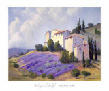 Basking in the Sunlight Prints by Brigitte Curt