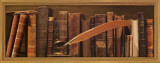Librairie II Posters by Pela 