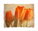 Bellezza I Print by Amy Melious
