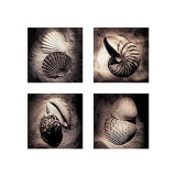 Nauticaa Affiches par Laurel Wade