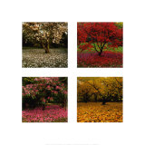 Les quatre saisons Posters par Bent Rej
