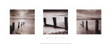Spring Tide Prints by Bill Philip