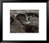 Close-up of Gnarled Tree Trunk Print by Ansel Adams
