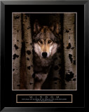 Wisdom - Gray Wolf Posters