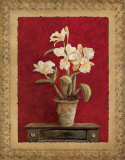 Bold and Beautiful II Prints by Charlene Winter Olson
