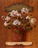 Geranium Poster by Gloria Eriksen