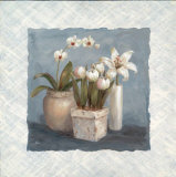 Blue and White Collection I Posters by Viv Bowles