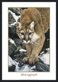Silent Approach Print by Jan Henderson