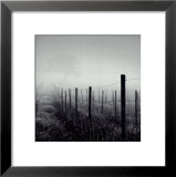Vineyard Prints by Chip Forelli
