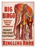 Ringling Brothers Circus: Big Bingo the Elephant reproduction procédé giclée