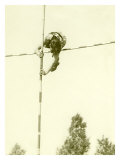 Track and Field, Pole Vault Wydruk giclee Track and Field, Pole Vault Wydruk giclee