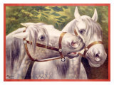 Livestock Horse Fair Giclee Print