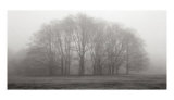 Ensemble d'arbres Art par Michael Iacobellis
