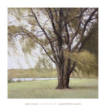 Lakeside Trees II Posters by John Folchi