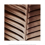 Skeleton Back Posters by Canales 
