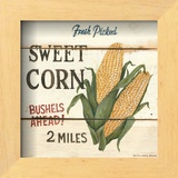Fresh Picked Sweet Corn Prints by David Carter Brown