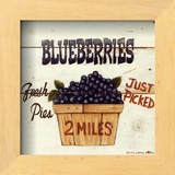 Blueberries Just Picked Prints by David Carter Brown