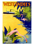 White Star Ocean Lines, West Indies Wydruk giclee White Star Ocean Lines, West Indies Wydruk giclee