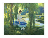 Lakeside Reverie Prints by Firmin Baes